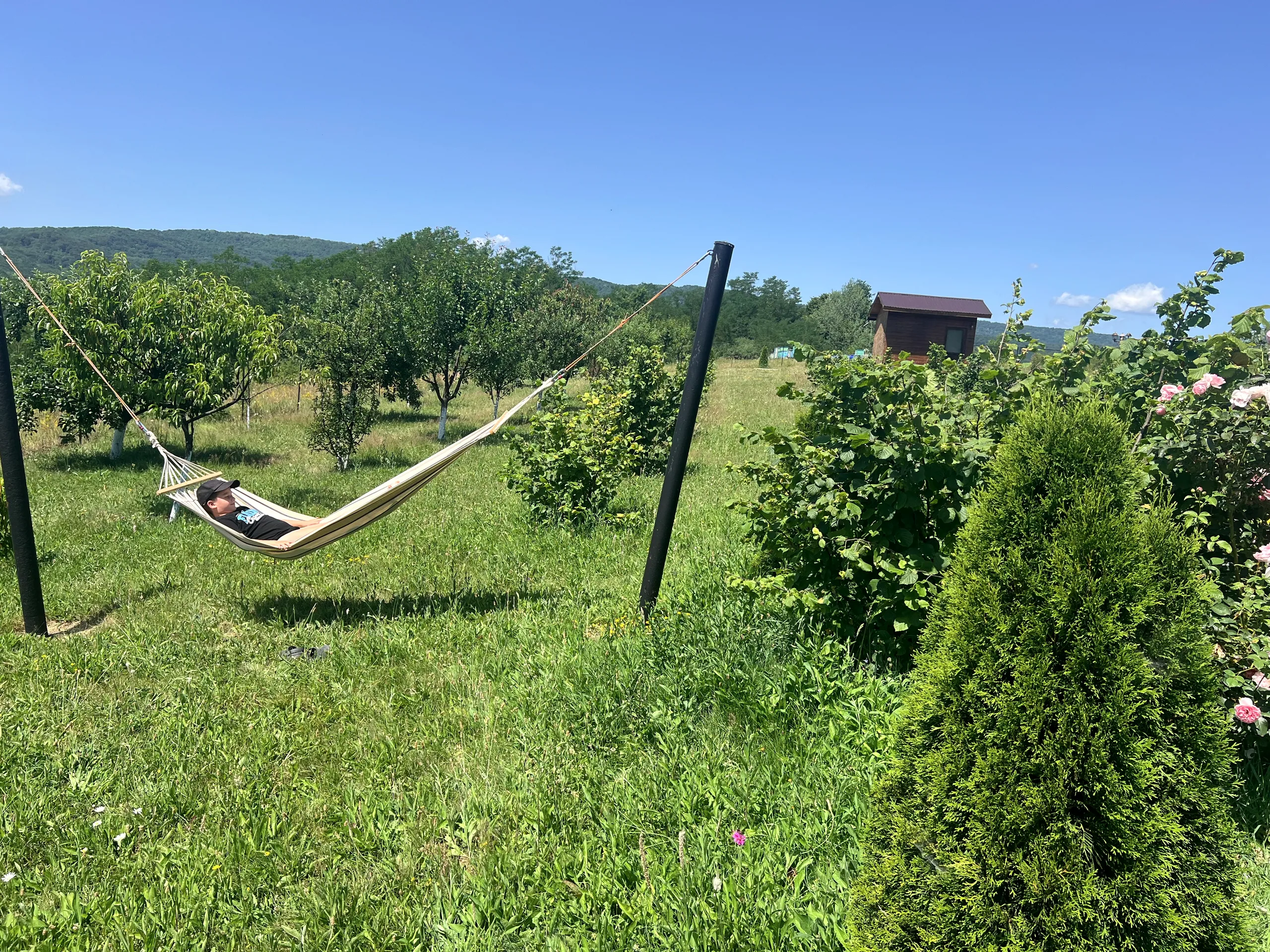 Hammock between two posts, a reader inside