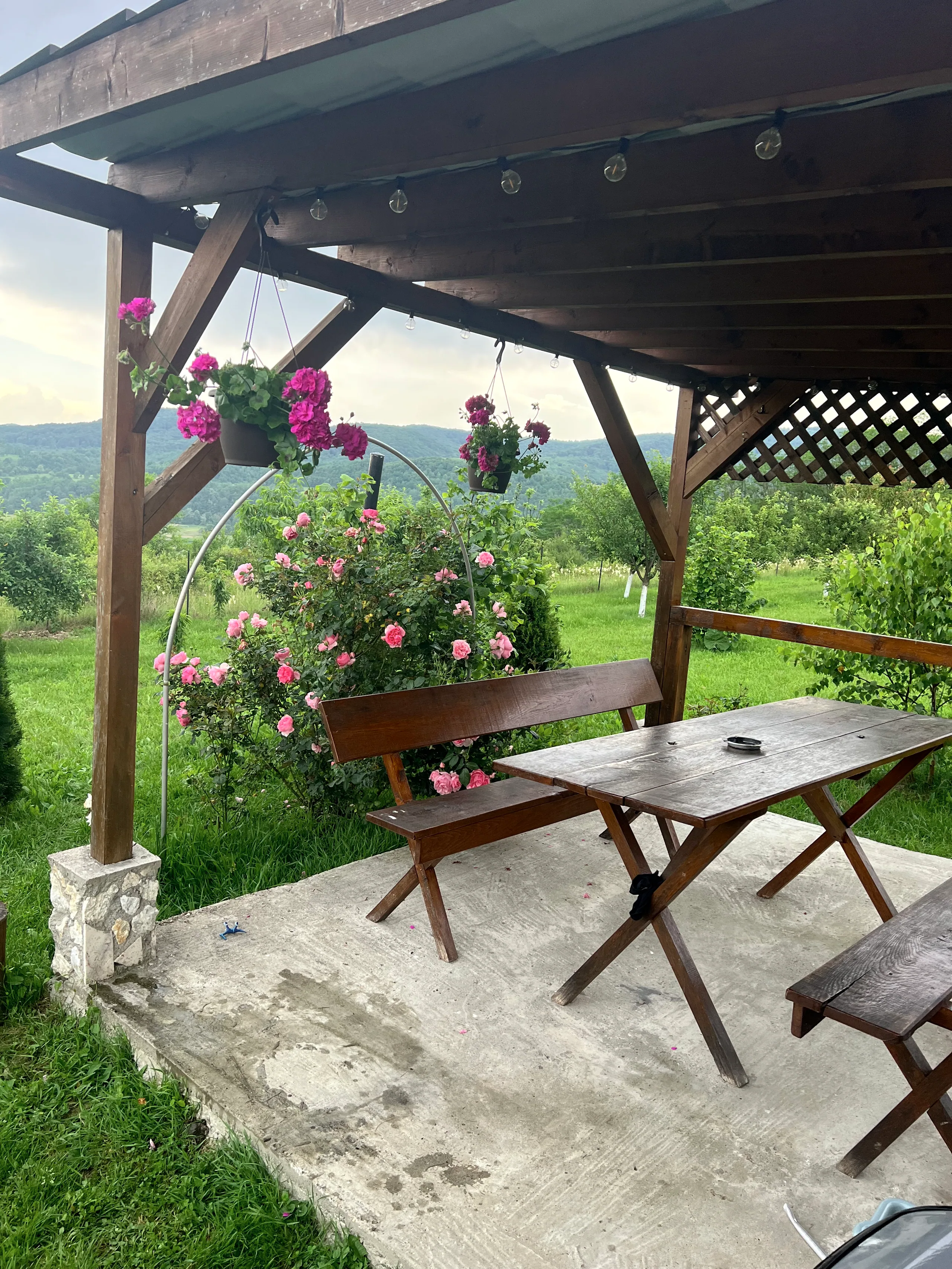 Moody interior of the pergola, late afternoon